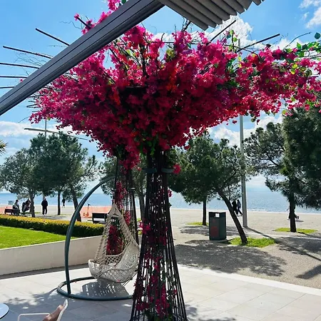 Appartement Grossartige In *